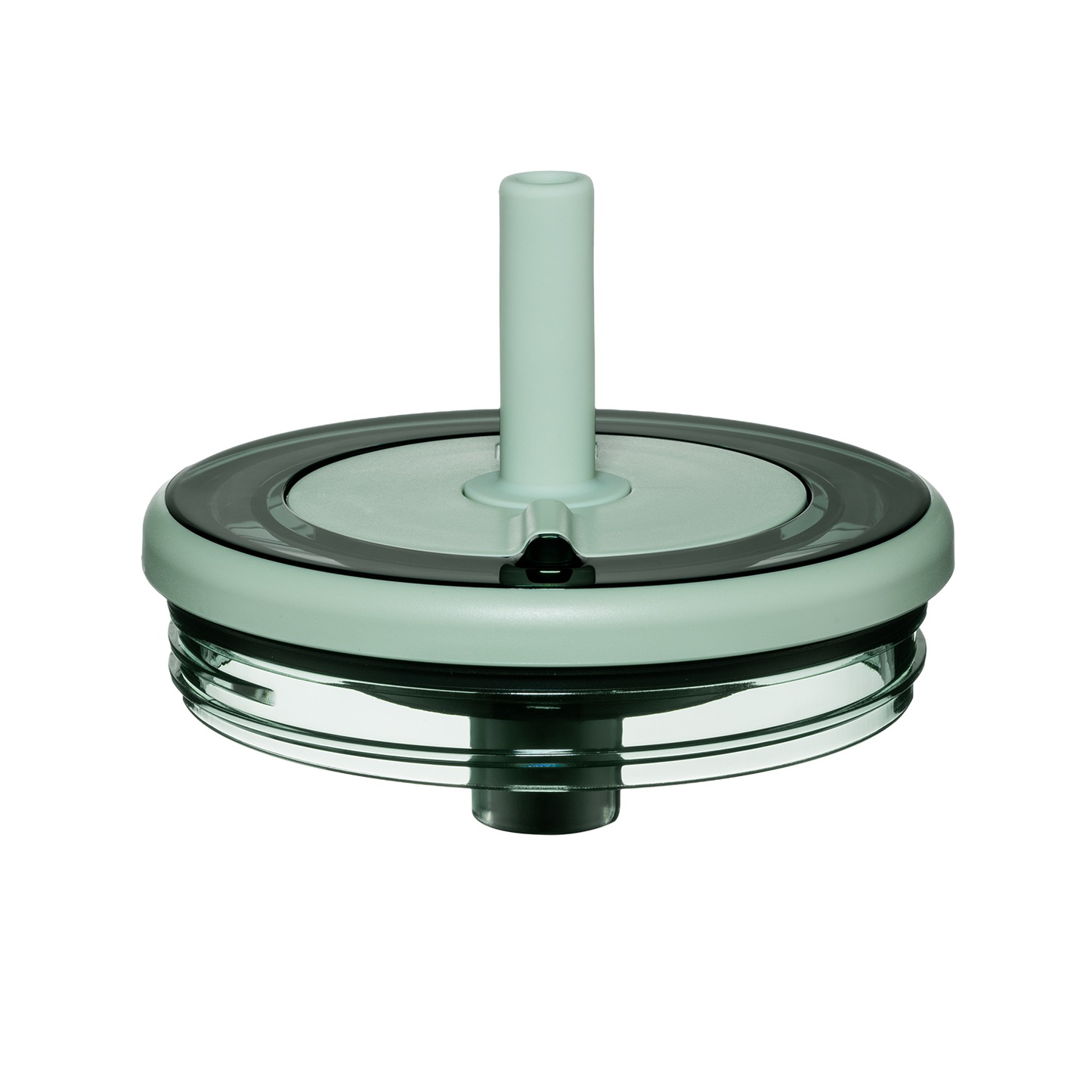 Era lid sage - US 4253