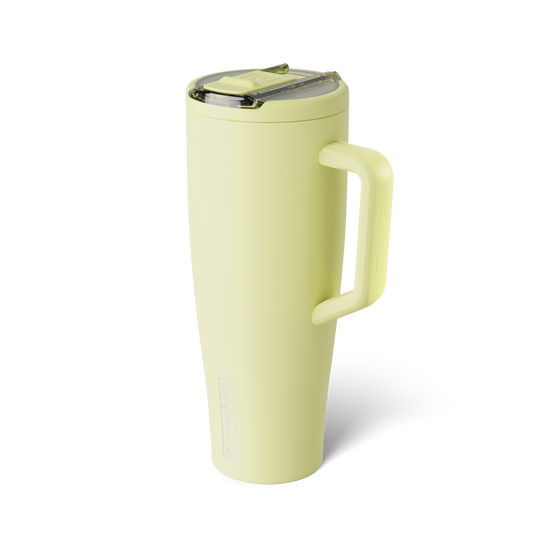 Era flip 40oz prickly pear - US 9495