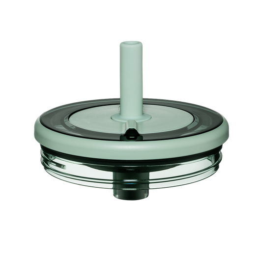 Era lid sage - US 4253