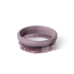 Lilac Dusk