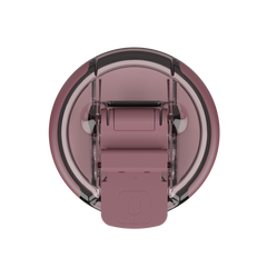 Rose Taupe