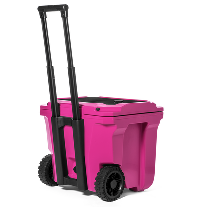 Brutank 35 quart rolling cooler vivid magenta - US 1882
